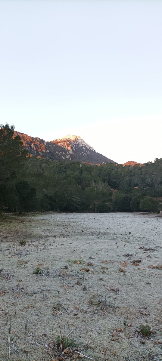 BielBibiloni's tweet photo. Gelada a #SonAmer #Lluc #Escorca #PuigDeGalileu #GR221 #GR222 #SerradeTramuntana https://t.co/5yj06zk27t
