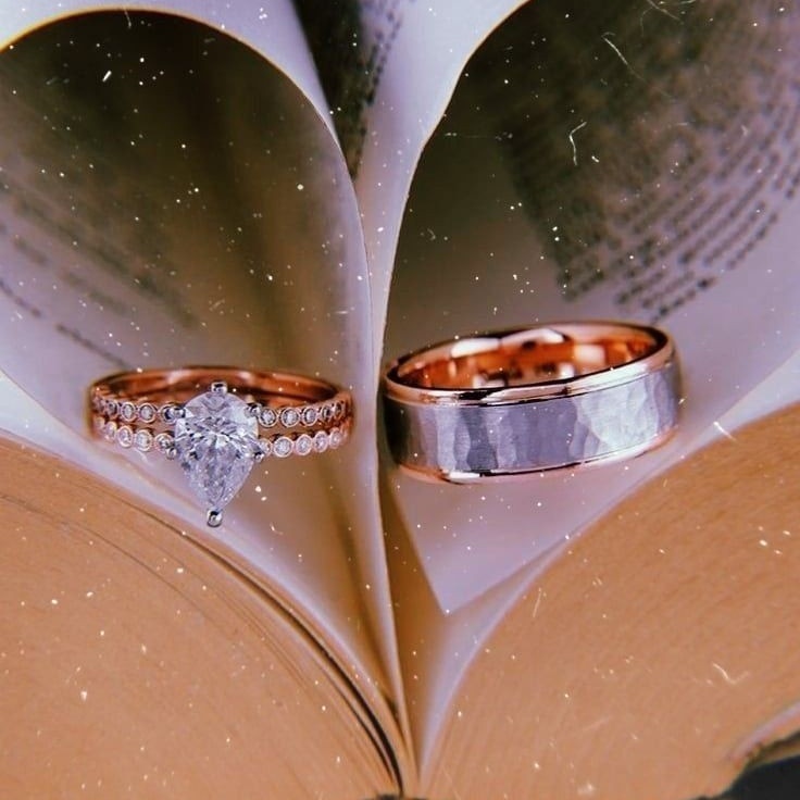 الكميت tweet media