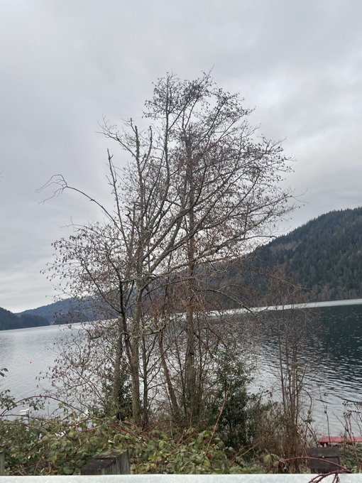 The view from my office did not suck today. https://t.co/brMbuHDR9E