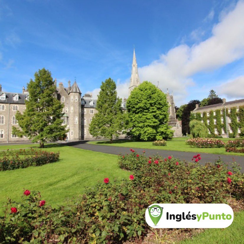 inglesypunto's tweet photo. ¿Habéis visto el plan que tenemos en Dublín para este verano? En este programa combinamos multitud de actividades y deporte, excursiones y clases de inglés para los alumnos que quieren un apoyo adicional con el idioma. #inglesypunto https://t.co/Y0bV7fNU6h
