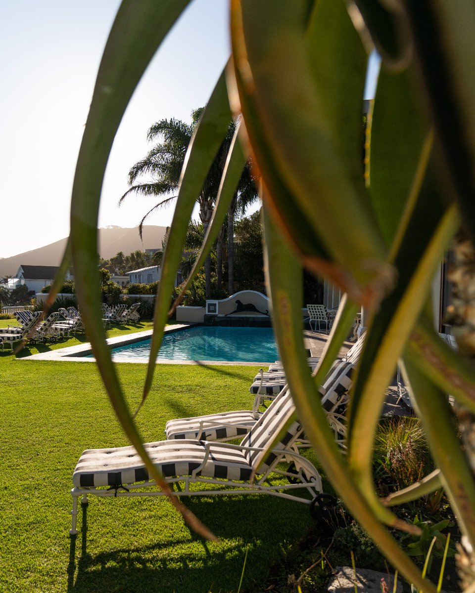 Ellerman House tweet media