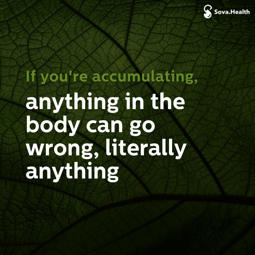 Sometimes Instagram gives us some much-needed reminders. 

#sovahealth #guthealth #gutheal