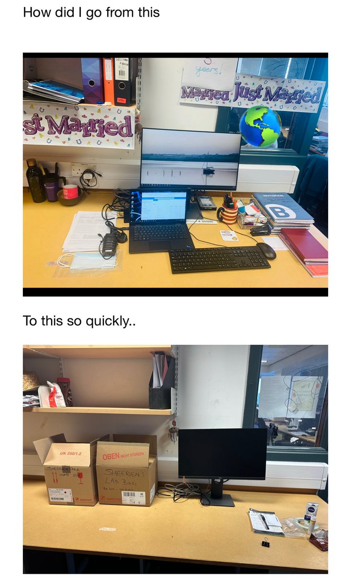 Sheerien Manzoor tweet media