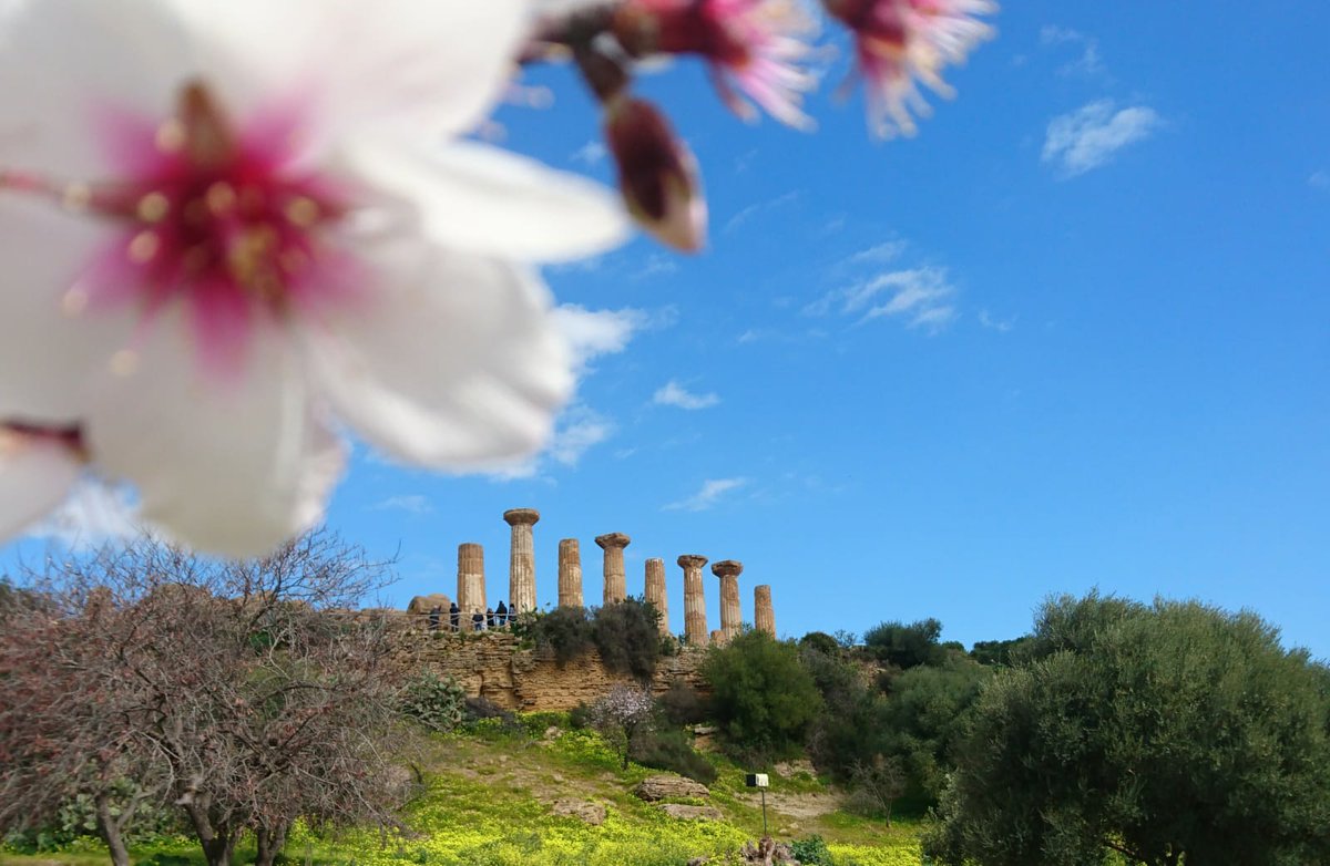 La DMO #ValledeiTempli sarà alla #BIT2023 dal 12 al 14 febbraio presso lo stand #Sicilia con #75mandorloinfiore, #Menfi #cittadelvino2023,  Agrigento finalista #capitalecultura2025, Gela #Freefrom80 e  la #costadelmito  <a href="/bitmilano/">BIT</a>