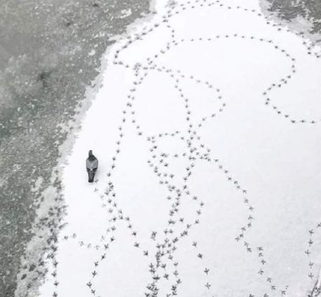 Yo cuando estoy en una llamada con alguien