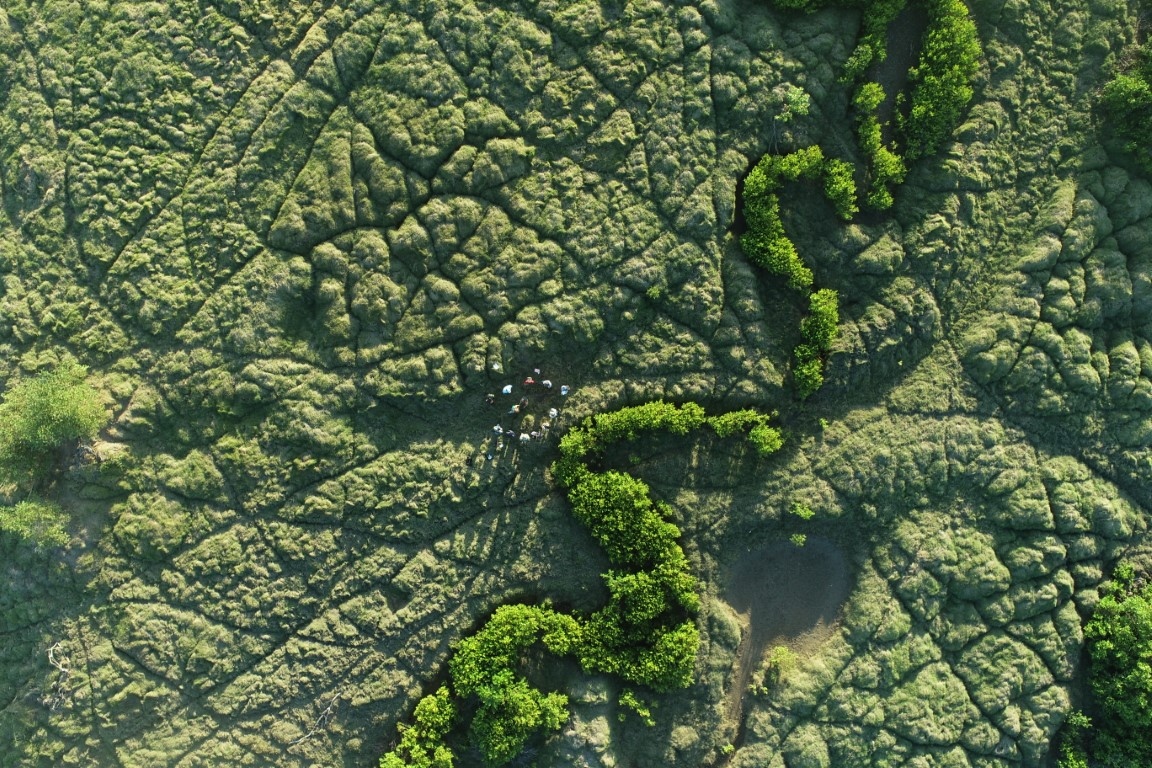 EcolSocAus's tweet photo. “Budding wetland ecologists from above” by @Sophiee_Walks (Highly Commended, 2022 ESA #PhotoCompetition #OutStandingInTheField category)
“Using a drone to get unique perspectives on one of Townsville’s wetlands &amp; assist in field sampling […]” 
#WildOz #WetlandsWednesday https://t.co/eMwU9WtIEl
