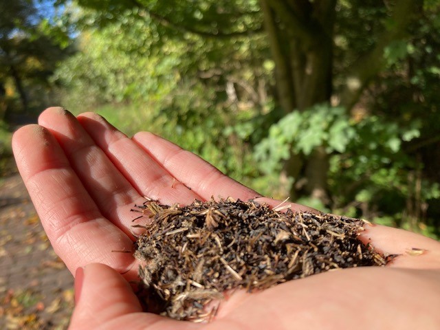 Je kunt nog steeds meehelpen om Rotterdam groener te maken door mee te doen met de Natuurstad Zadenruil.🌻 

Kijk voor alle spelregels en de aanmeldlink op onze website: natuurstad.nl/zaden-ruilen