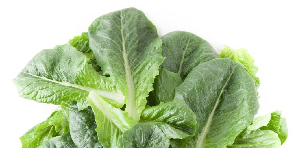 💥 CRUNCH CRUNCH 💥 Our FreshBox Farms Romaine has a nice, crisp crunch with lots of flavor. It is perfect for almost any recipe. See all our fresh, local, and safe leafy greens here: bit.ly/3GhMTnu