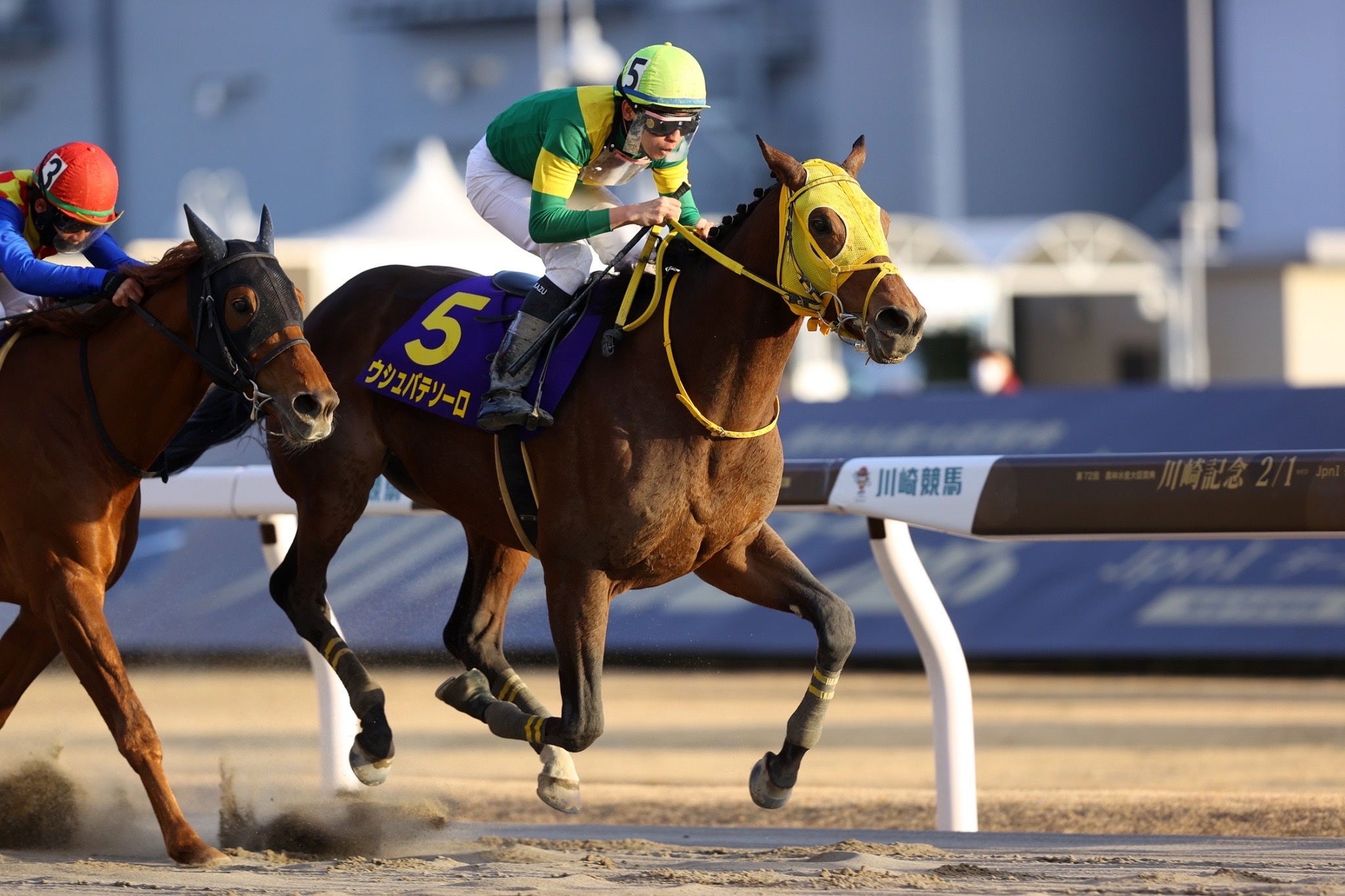 まねき馬 60弾SP No.2443ウシュバテソーロ ウシュバテソーロが引退 26億円超獲得、日本馬1位 | 高知新聞