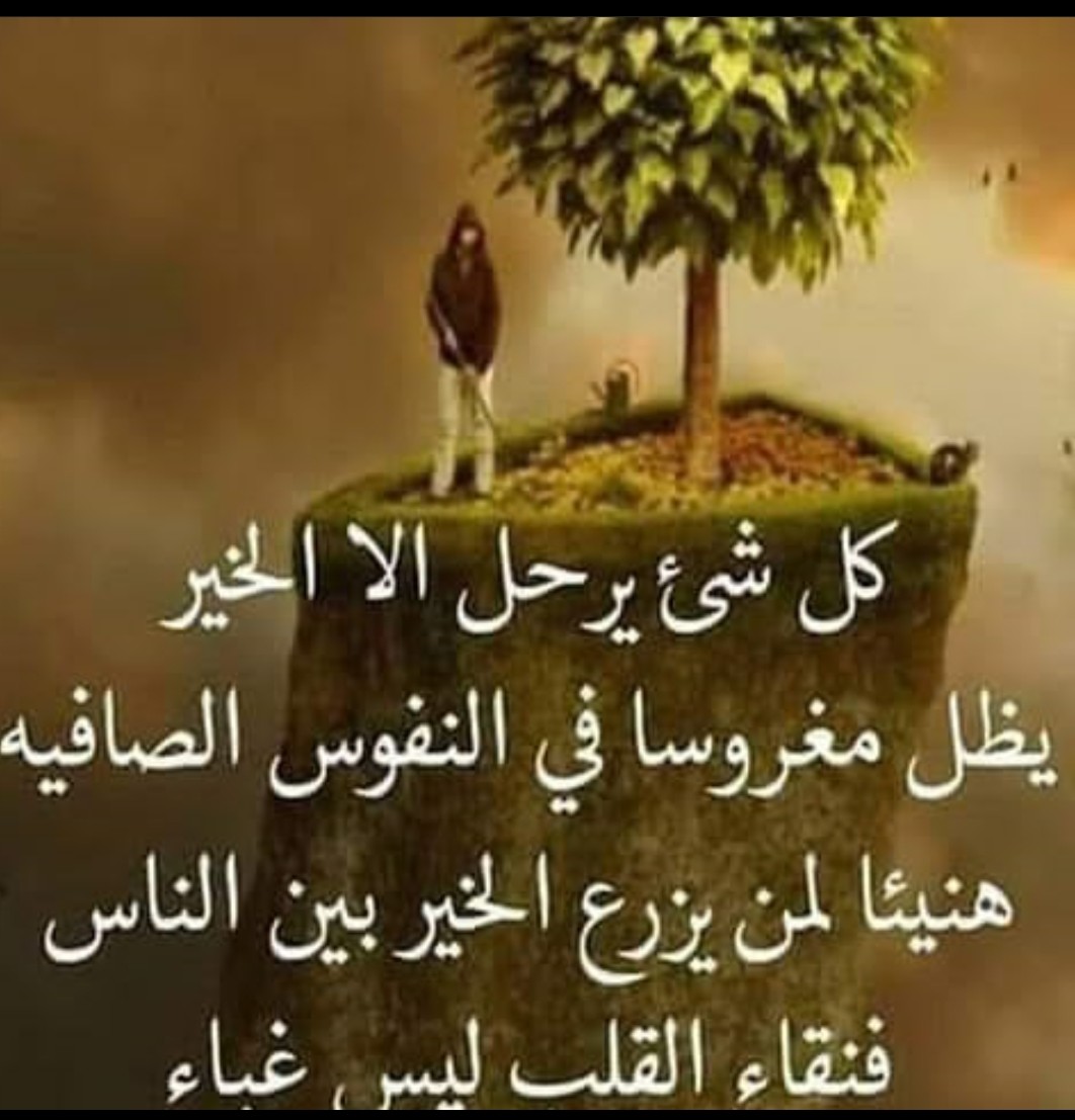«قواعد السعادة كن مع الله ولا تحسد أحدا ولا تحقد وعش ببساطة مهما علا شأنك توقع خيرا مهما كثر البلاء وتعلم العطاء ولا تنتظر الرد»