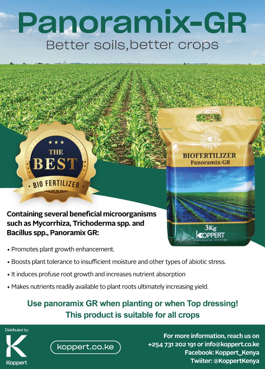 Do you know about Panoramix-GR? Knowledge series part 1: 

🌱It is a powerful bio fertilizer with added benefits of micro-organisms such as Mycorrhiza, Trichoderma and Bacillus.
🌱It contains nutrients such as Organic carbon and Seaweed extract.

#WeWorkForGrowers