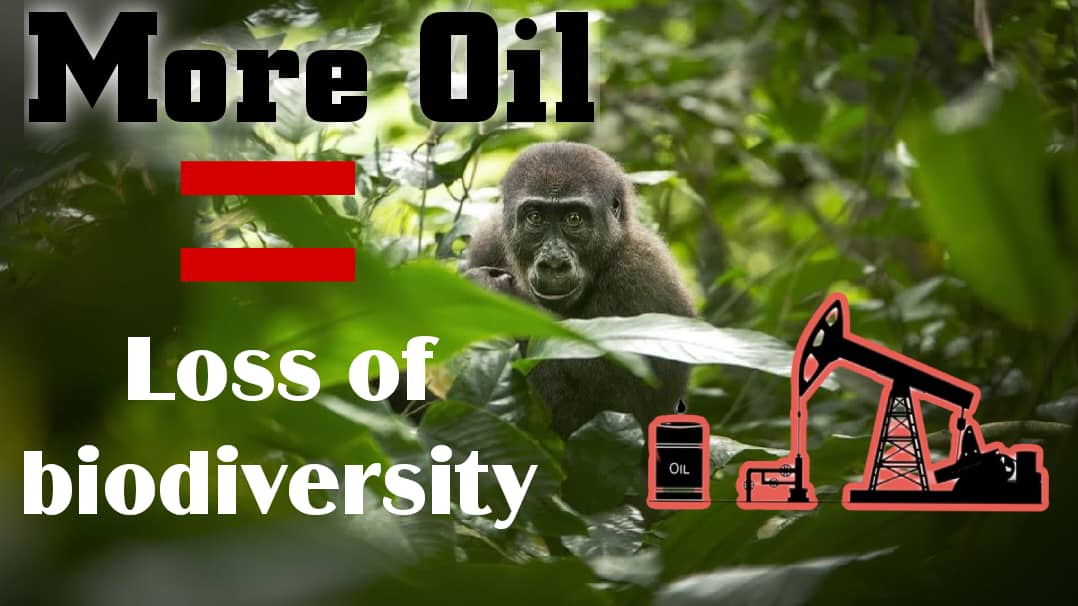 Stop stressing the nature
More oil = loss of biodiversity 
#FossilFreeDRC 
#NoOilinVirunga 
#SaveCongoRainforest
#FossilFreeVirunga
#AfrikaVuka 
 @Pontifex @Pontifex_fr @Riseupmovt