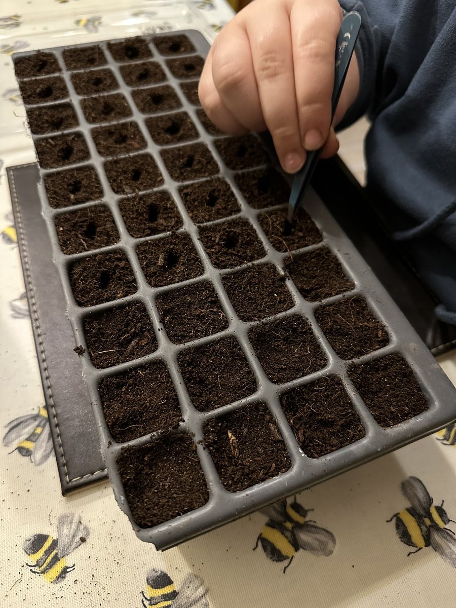IrisesSeagate's tweet photo. Our son has found he enjoys seed sowing the #peatfree plugs this year… I’m not going to stop him, I struggle with the concentration to do it myself! #familybusiness #peatfreeplants #seedsowing #nextgeneration #spring2023 #plugplants #homeschoollife https://t.co/uYnQfxUDcJ