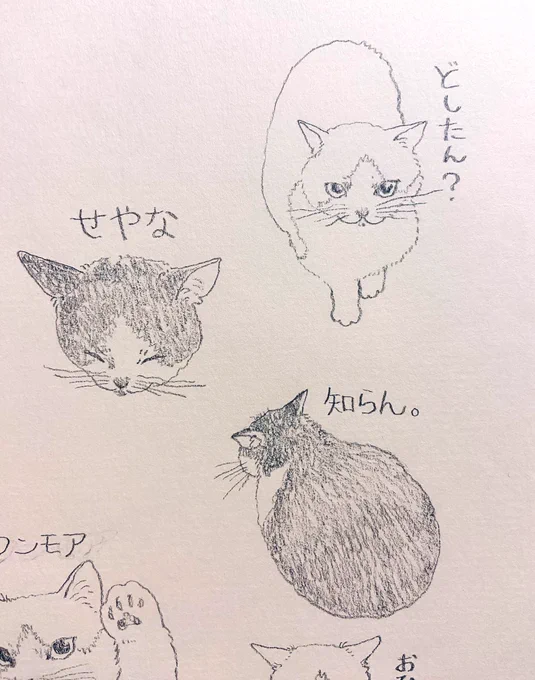 ミャーコのLINEスタンプの構想練り練り中… 