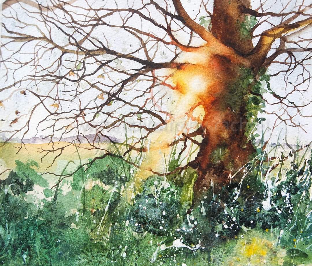 A pinch and a punch it's the first of the month

Happy first day of February x

#watercolour #watercolourpainting #winter #trees #sunlight #February #landscape #light #Devon #artist #countryside #treesontwitter #hedgerows #ruralviews #MidDevon #painting #paint #artist #art