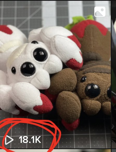 Excuse me while I scream… WHAT?!