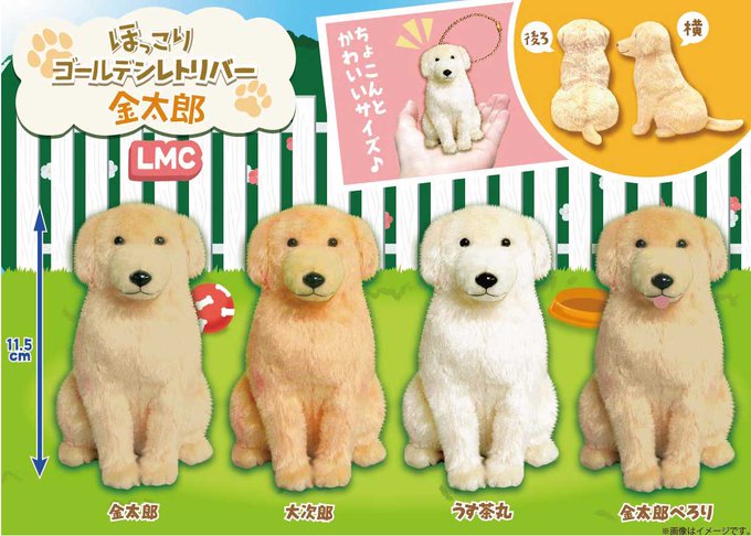 低価格の ほっこり ゴールデンレトリバー 金太郎 gruponebraska.com.br