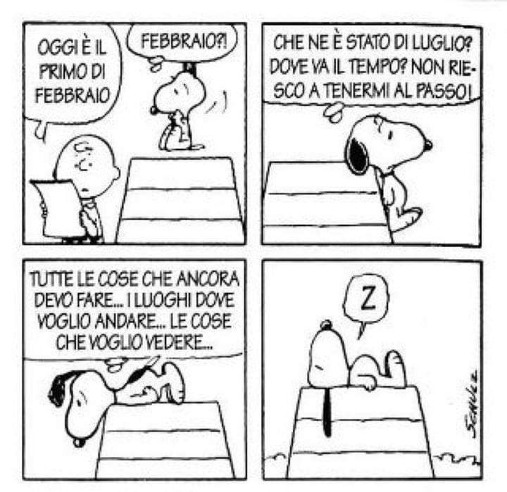 Pennacchiiiii's tweet photo. Preciso. https://t.co/r1AKXm6vKr