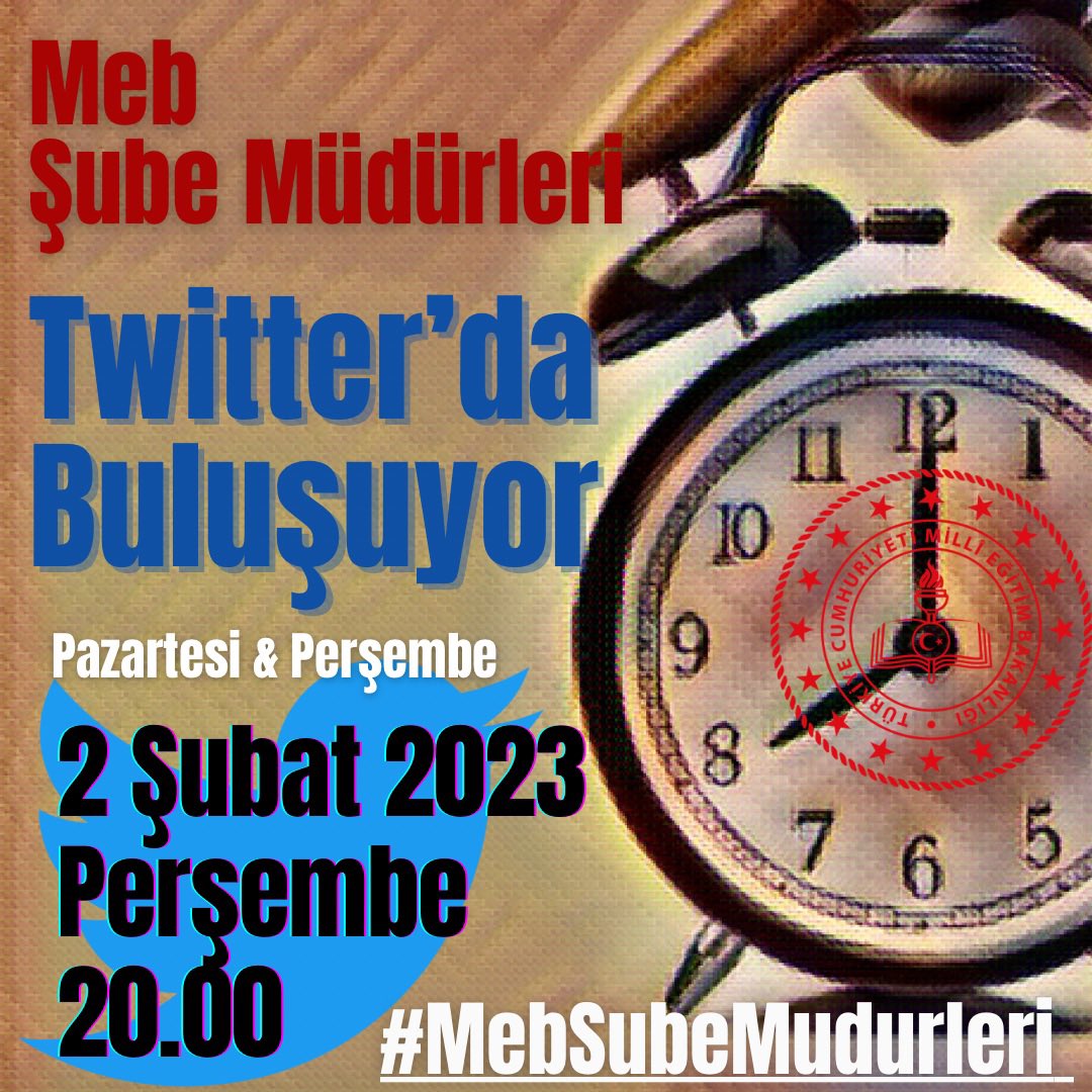 Lexi Xiao (@lexixiao1111) on Twitter photo 