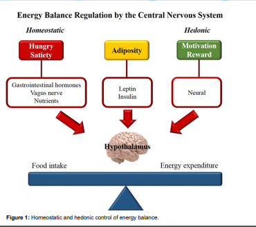 #minireview of Basic and Genetic Aspects of Food Intake Control and Obesity..by Renata Machado Pinto, MSc, MD [ISSN 2377-8385].

Read the full article here: bit.ly/3Hdz1wS

For manuscript submission click here: bit.ly/3GNx61Q

#openventio #OpenAccess #obesity