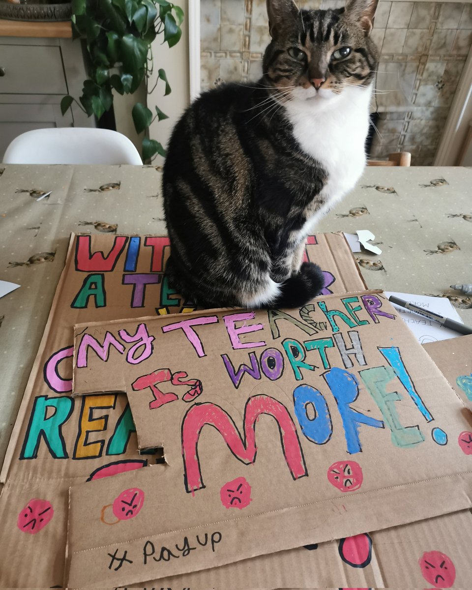 Holly the cat is supporting all the teachers this morning!
<a href="/NEUnion/">National Education Union</a> <a href="/NEULondon/">NEULondon</a> #SaveOurSchools #PayUp