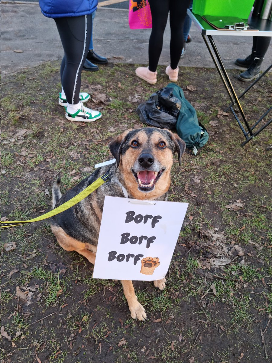 #dogsatpickets #TeacherStrike