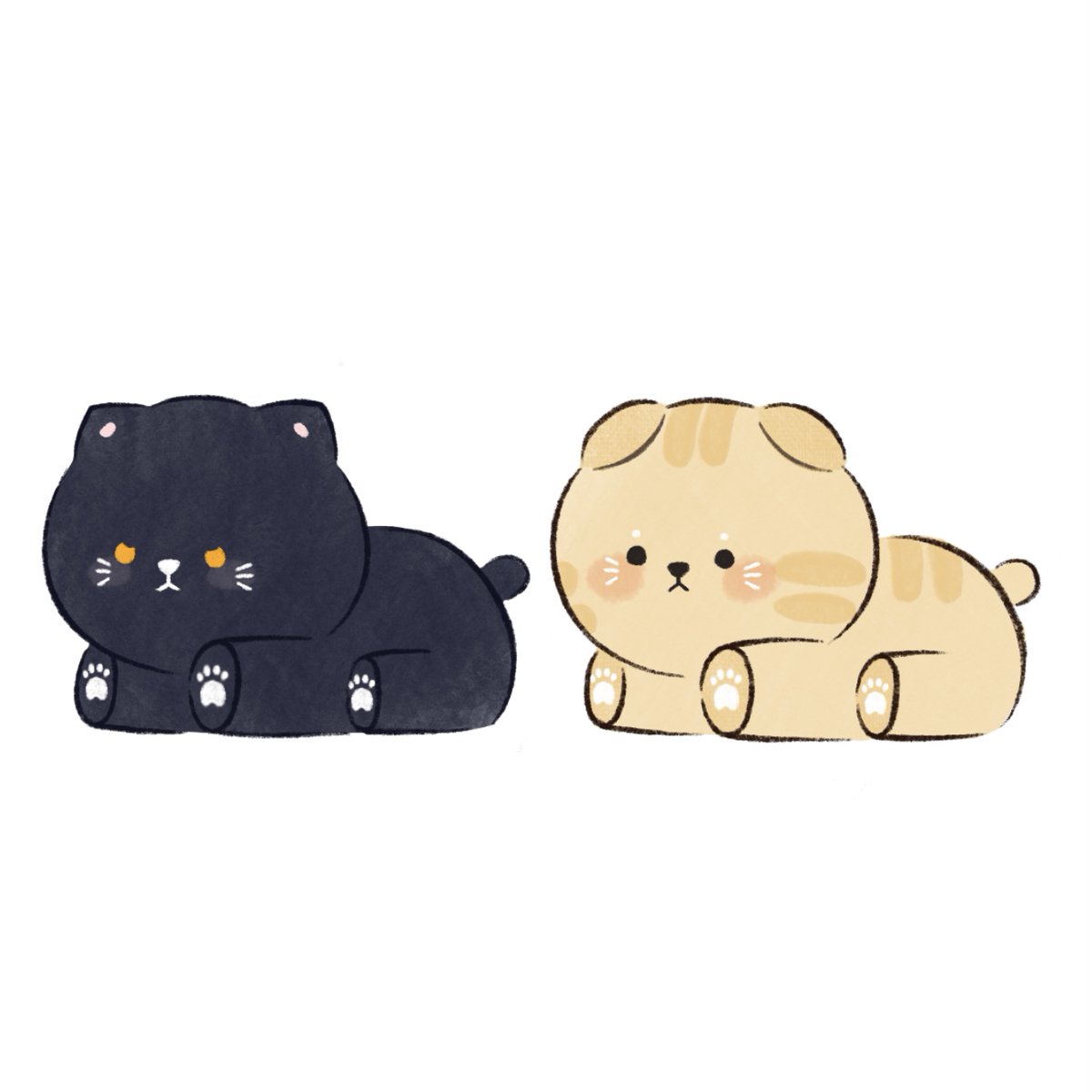 요즘엔 이런 귀염둥이들 탄생시키는 게 너무 행복합니다