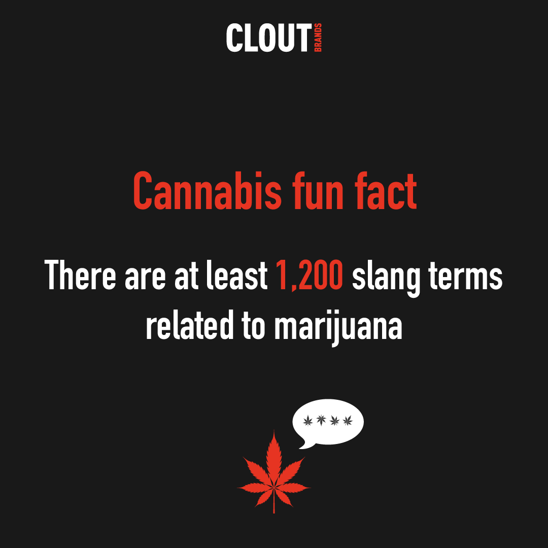 CloutBrands's tweet photo. Do you know that there are at least 1200 slang terms related to marijuana? How many of them do you know?

👇👇👇👇👇 https://t.co/bz5j7nvHf2