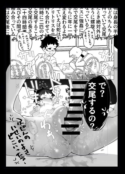 交尾に詳しいクラスメイトの話 