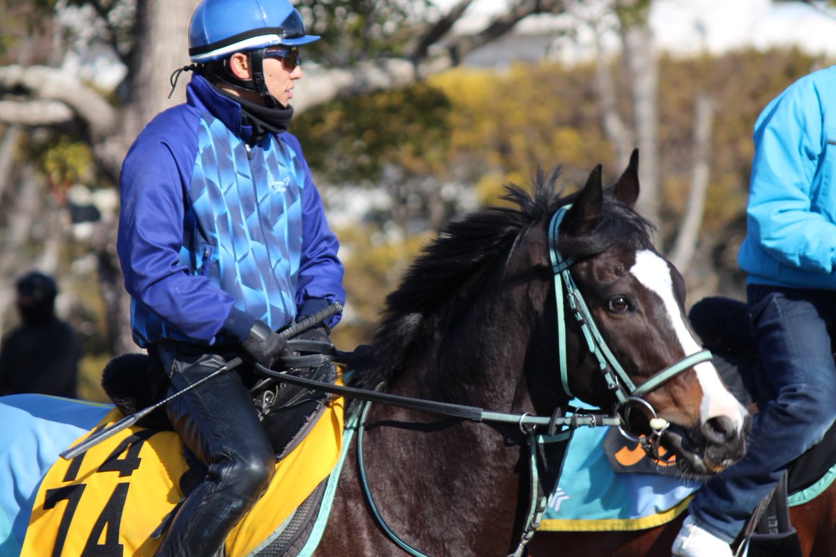 【😍絶好調…】今朝の「全国リーディング首位の #奥村武 厩舎」のジャージをまとった #伴啓太 騎手です👊フォッサマグナ、テイエムナイスランに続き、先週は7番人気 #ヒストリアノワール(@SILKHCofficial )で3週連続勝利🎉「3勝とも自分がうまく乗れたわけではないんです。集中してやっていきます」