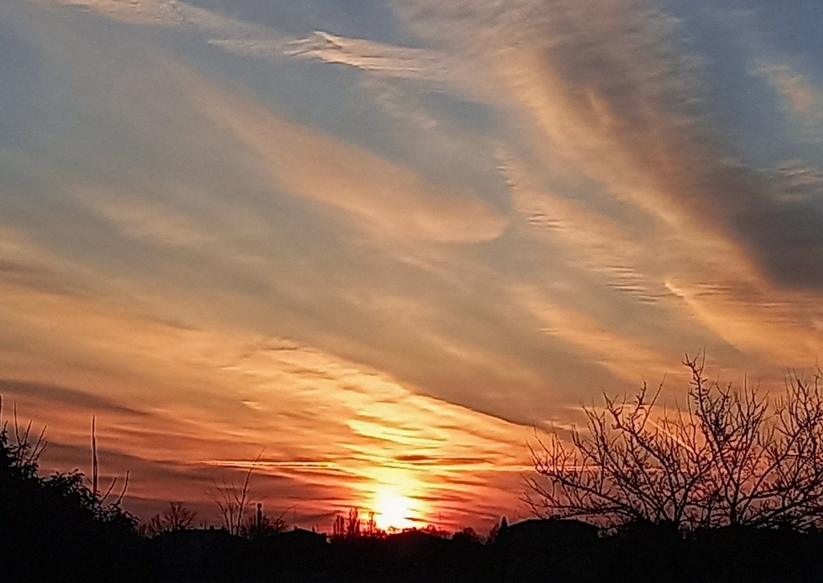 KarlBuff's tweet image. 