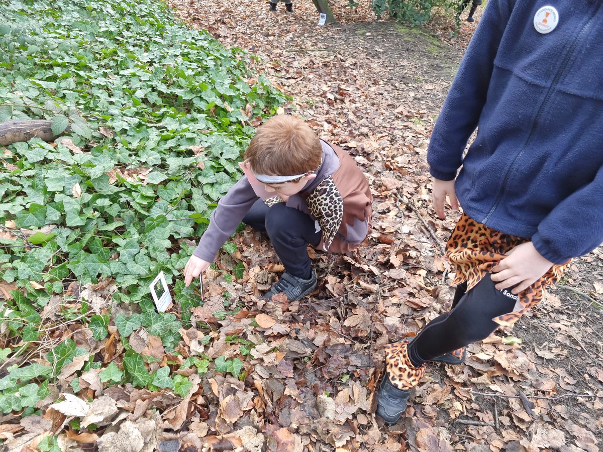 Castle Hill Primary tweet media