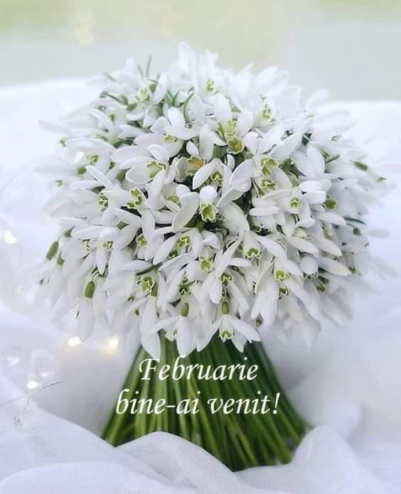 CClementa's tweet image. 🌷⚘🌹🥀Bun venit Februarie!