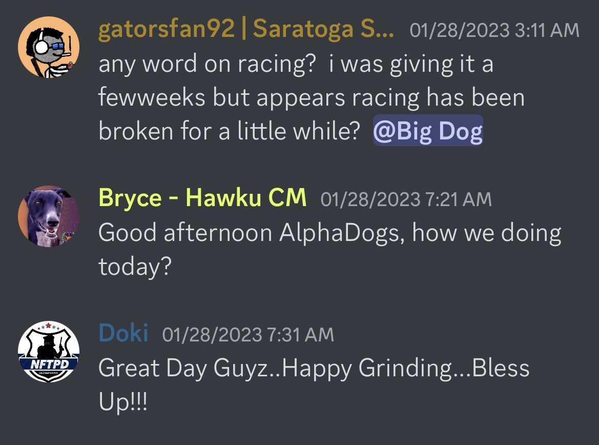 @alphadogsrug tweet media