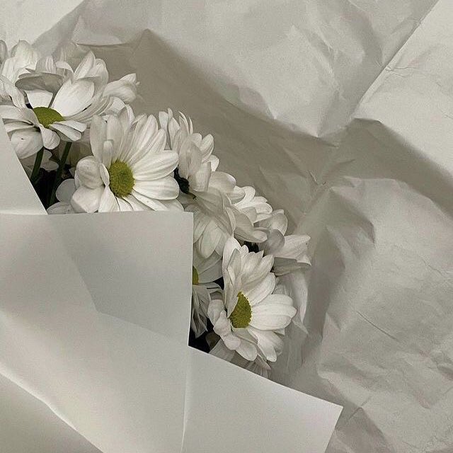 prlmbss's tweet photo. не заметила, что первое февраля так быстро пришло..
прости, что мы не виделись. выступления, встречи, рутина, но я вновь наконец с тобой, мой друг!
о мой дорогой и замечательный друг, позволите ли вы обычной балерине обнять вас при встрече?

хихи, ладно, давай обниматься скорее!! https://t.co/RLBYpJ7IGC