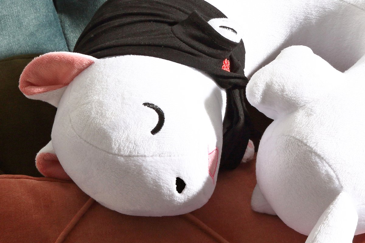 작년 굿즈 설문조사에서 많은 분들이 요청해주신 화산귀환 백아 목베개가 곧 출시됩니다🎉

화산귀환 백아 목베개는 네이버웹툰 브랜드 스토어에서 2월 3일부터 2주간 예약 판매로 진행될 예정입니다. 많은 관심 부탁드립니다.

항상 감사합니다🙇‍♂️