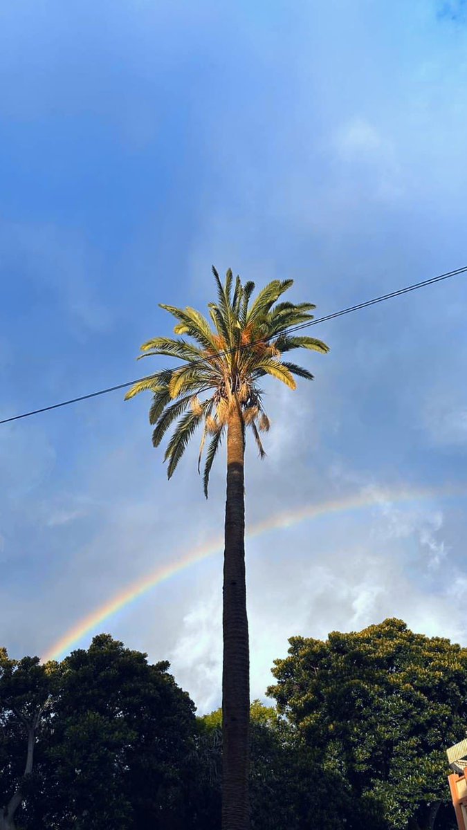 Good morning world 🏳️‍🌈