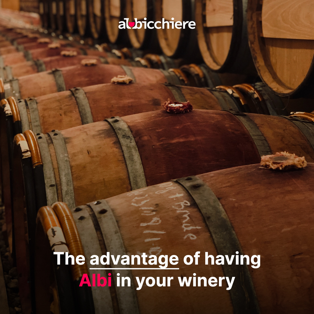 Albicchiere🍷 tweet media