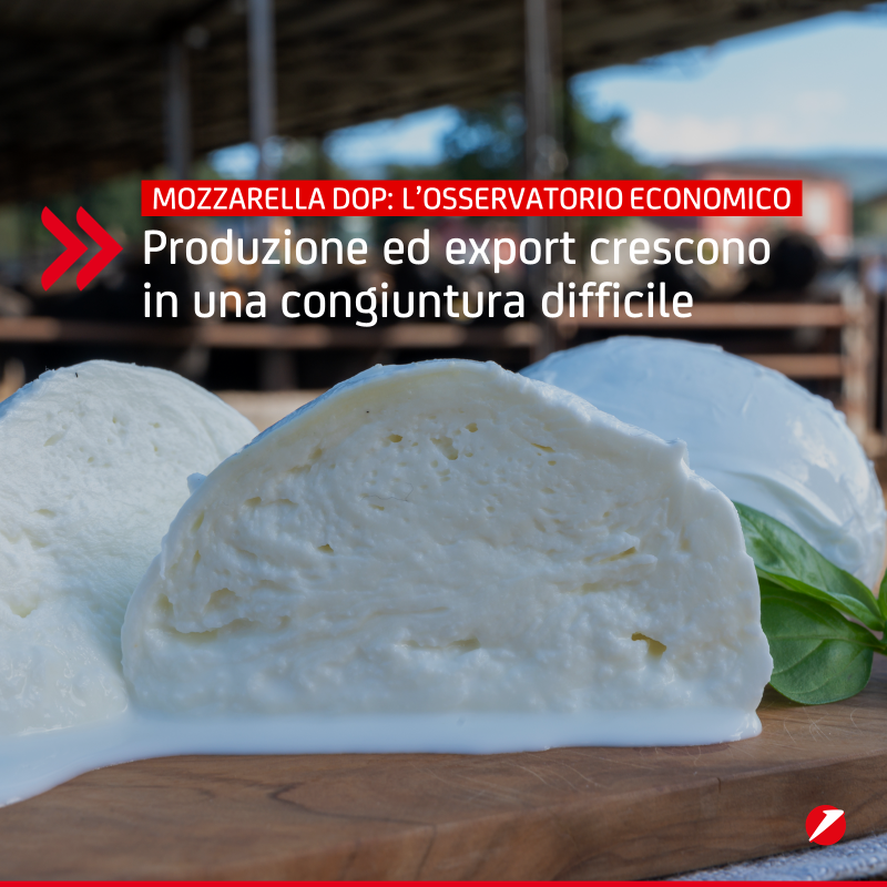 UniCredit_IT's tweet photo. #OurClients: Presentato ieri in #UniCreditTower il primo Osservatorio Economico sulla filiera della @mozzarella_dop. Secondo l'indagine, firmata @nomismaustampa, รจ il formaggio Dop che fa registrare la crescita di produzione piรน alta tra il 2016 e il 2022: +26%. ๐ #Filiere