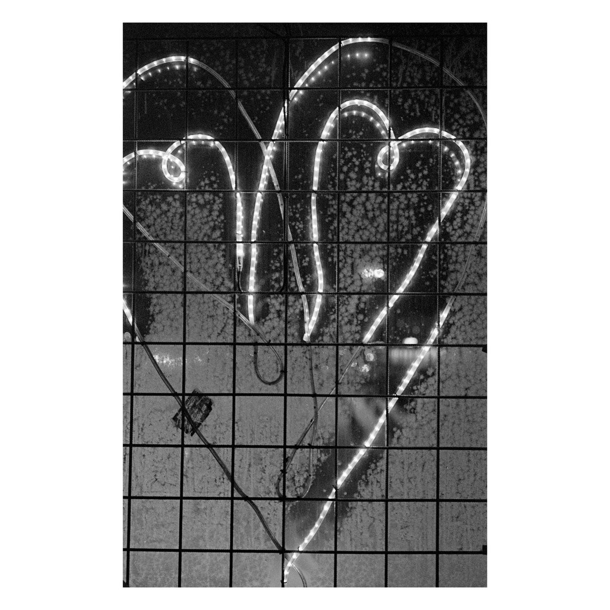 Dark Heart, Stockholm

📷: @Leica_UK M4
🎞️: @ILFORDPhoto HP5 plus

#urbanphotography #urban #urbantexture #stockholm #sweden #christmaslights #heart #decay #fairylights #filmphotography #filmisnotdead #leica #leicam4 #ilfordhp5 #blackandwhite #shotonfilm