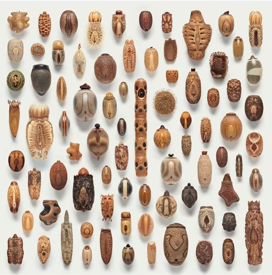 Leslie Tate (he/she/Leslie)✍️🌈'*•.¸♡ ♡¸.•*'⧖☮🙏 tweet media