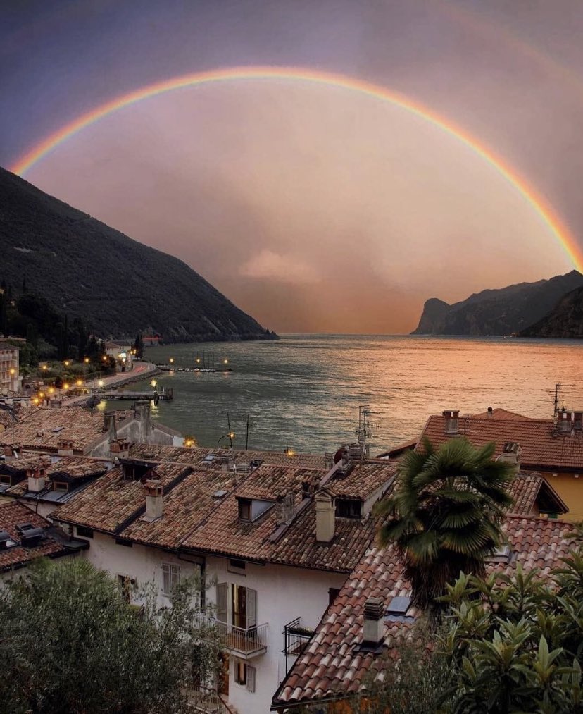 WORLD 2026 🌊 tweet media