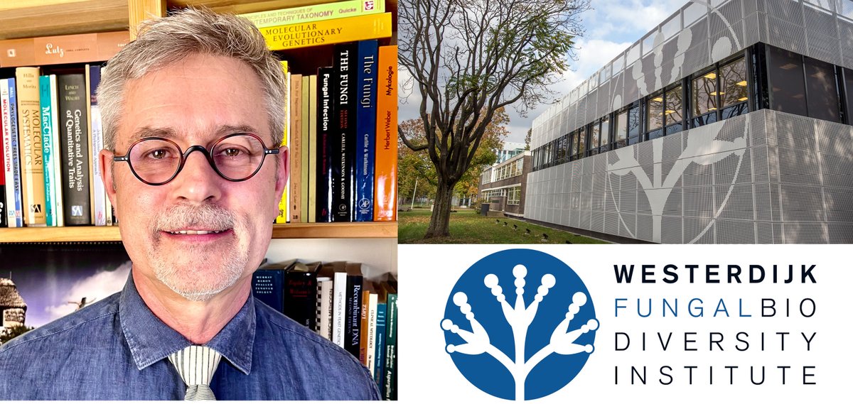 It is with great pleasure that we announce that the @_Westerdijk_ will have a new director per 1 July 2023: Professor Wieland Meyer! We can think of no better candidate to launch us into the future, and to spearhead global #mycology ! @_knaw More: wi.knaw.nl/news/details/1…