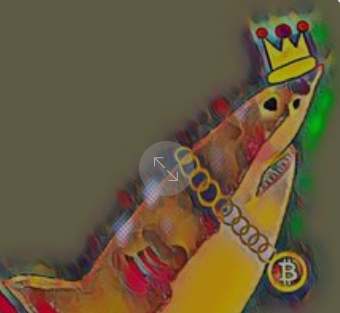 Get you hands on a Funky #BTC Shark! More to come. #NFT #NFTs #NFTCommunity #nftart 

nft.onxrp.com/nft/000813880C…