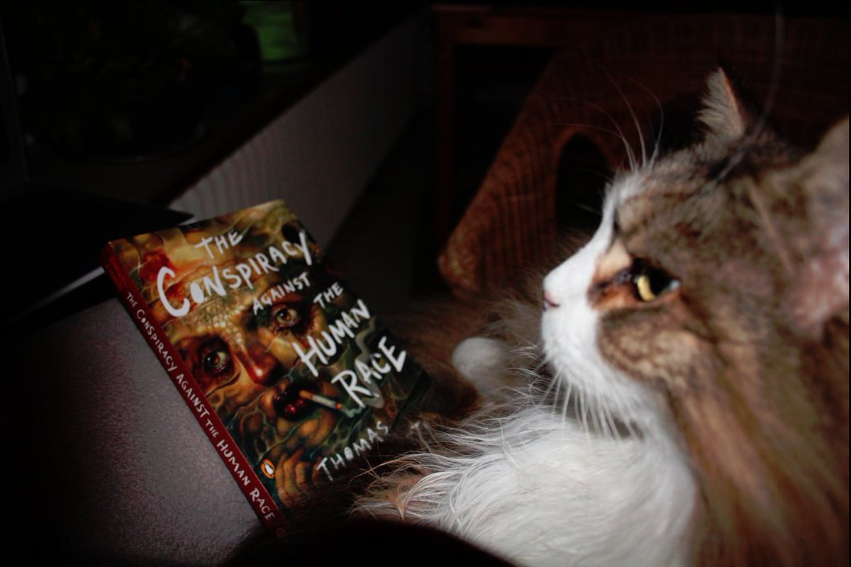BrainFeature's tweet image. we´re reading a new book. #CatsOfTwitter #Conspiracy