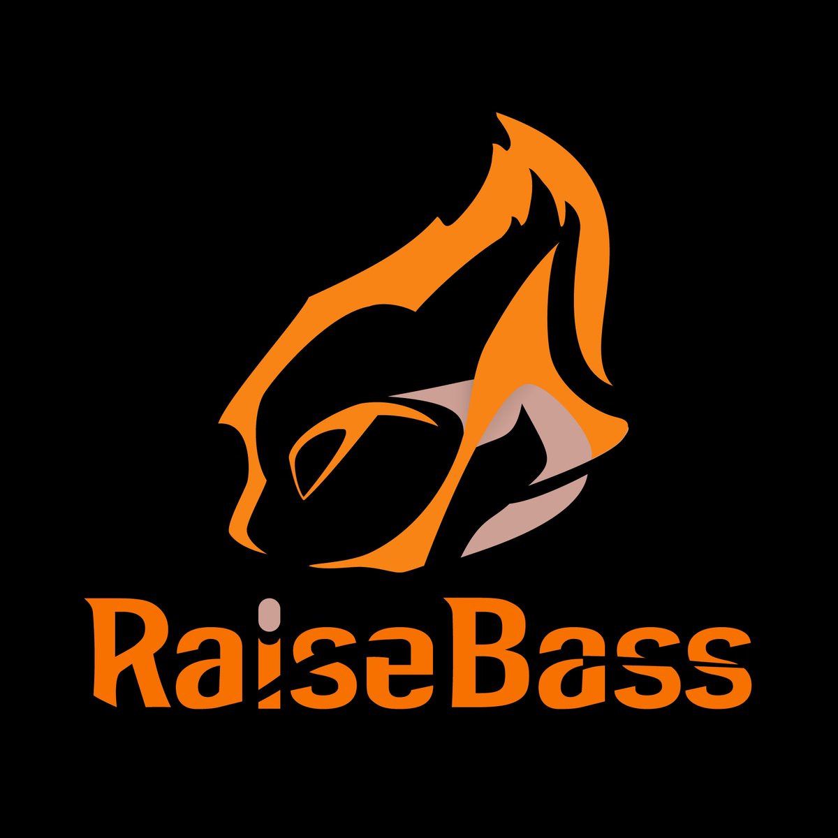 RaiseBass_OA's tweet photo. 【株式会社設立のお知らせ】

この度、音楽・広告事業による事業規模拡大につき2月1日をもって株式会社RaiseBassを設立しました

音楽とバーチャルの架け橋となるべく映像、音楽、広告制作を主な事業とし業界を担う企業として邁進して参りますのでよろしくお願い致します

代表取締役社長　野上祐 https://t.co/gpydpgWeWM
