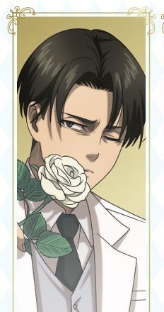 New illustration of Levi 🤍