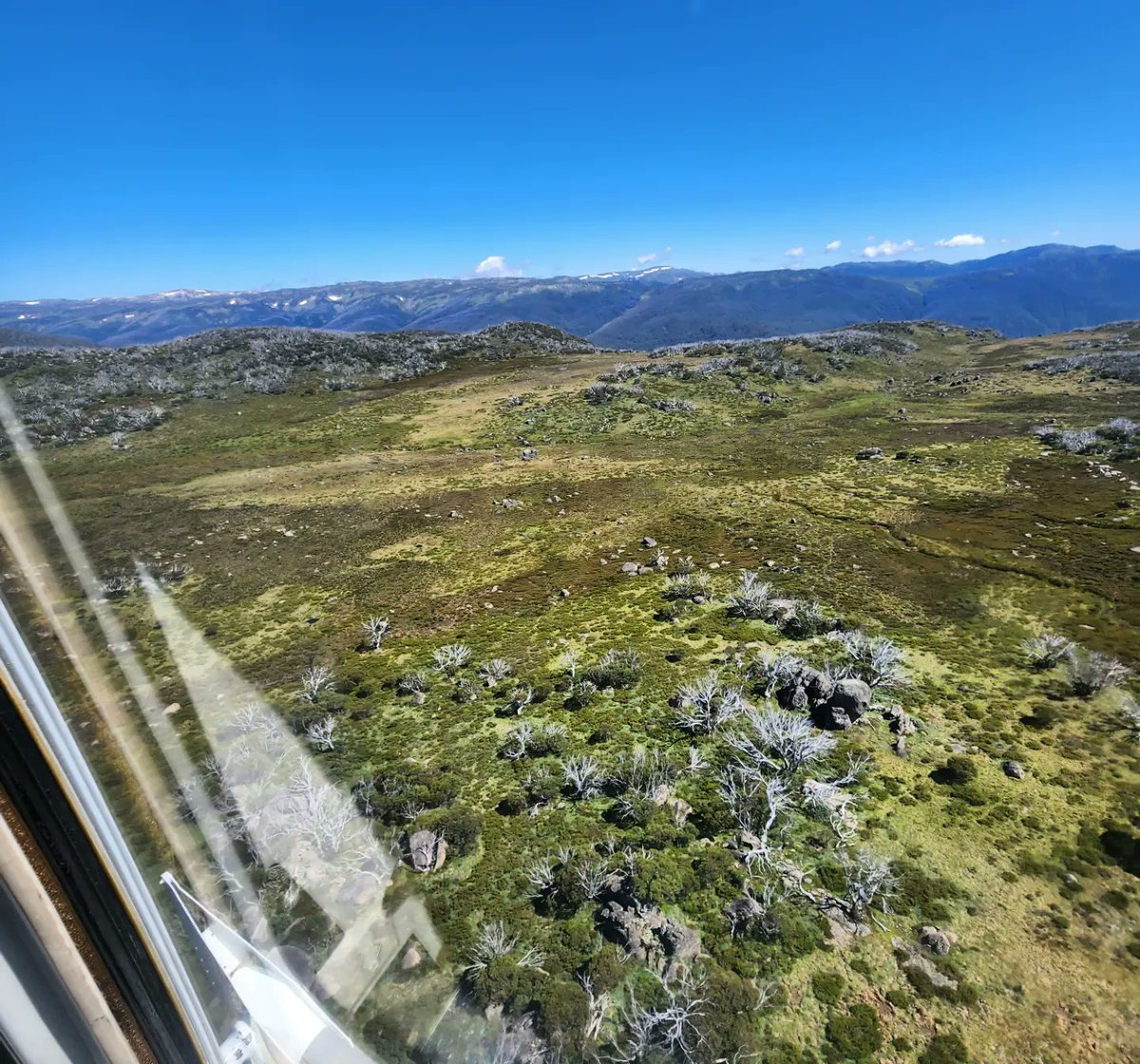 Joseph Schubert 🕷️ tweet media