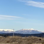 ツイートに含まれる画像