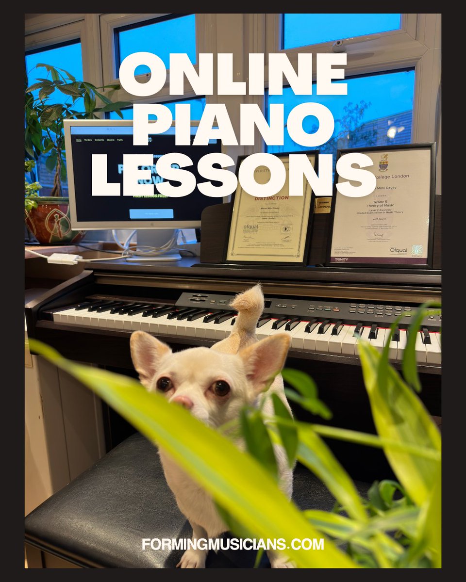 Don't miss out on the opportunity to learn piano from the comfort of your own home with our online lessons! 

#onlinepiano #onlinepianolessons #pianolessons #pianolessonsonline #learningthepianoisfun #leaningthepiano #piano #pianolessonsforkids #pianolessonsforbeginners